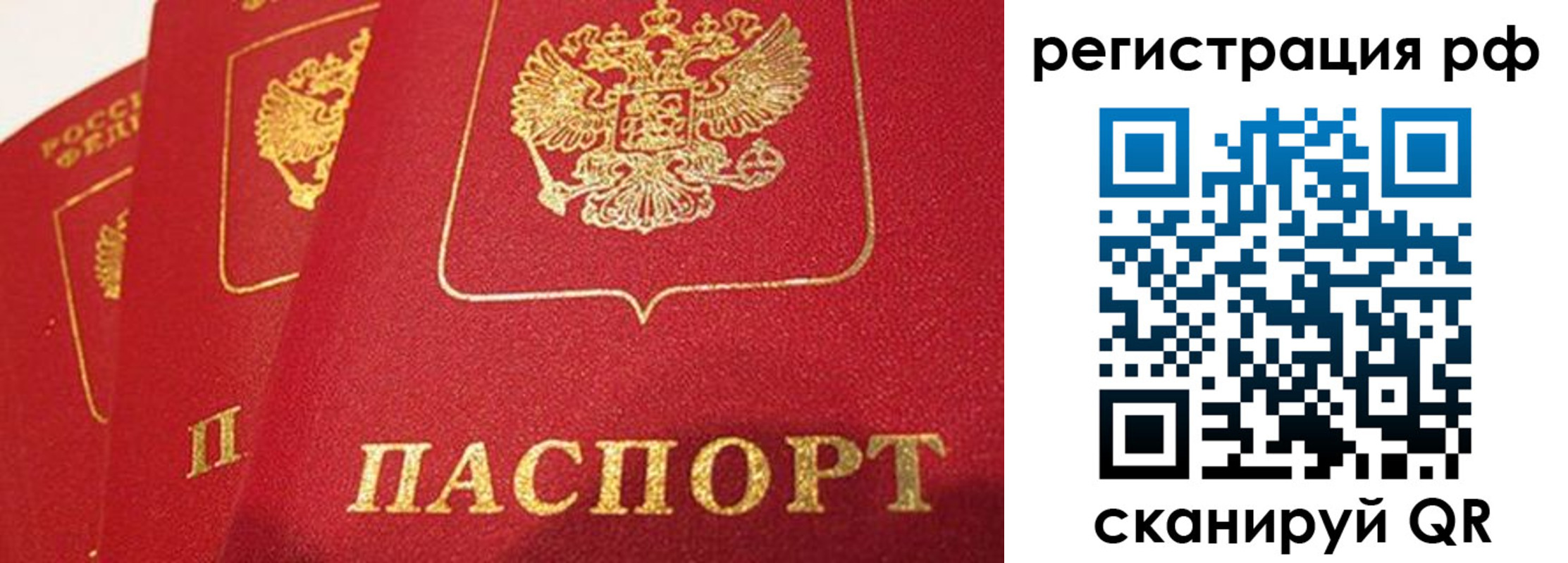 прописка поиск в Кинеле